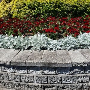 Meet your Posher, Sushila